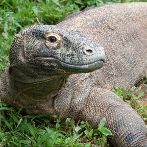 Meet your Posher, Christian